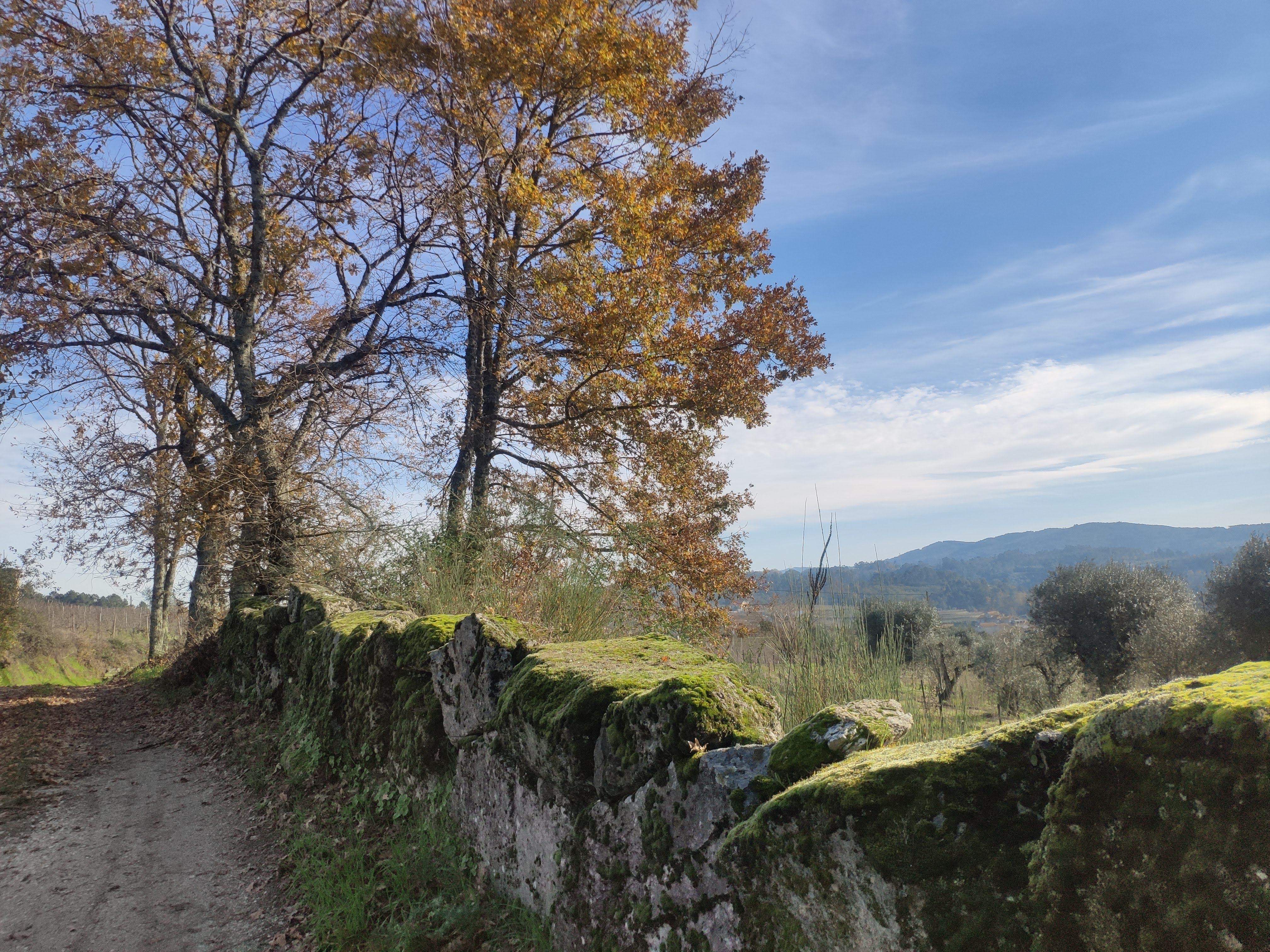 Muro de Pedra e Caminho Rural